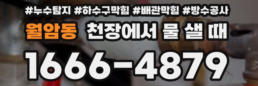 월암동 천장에서 물 샐 때