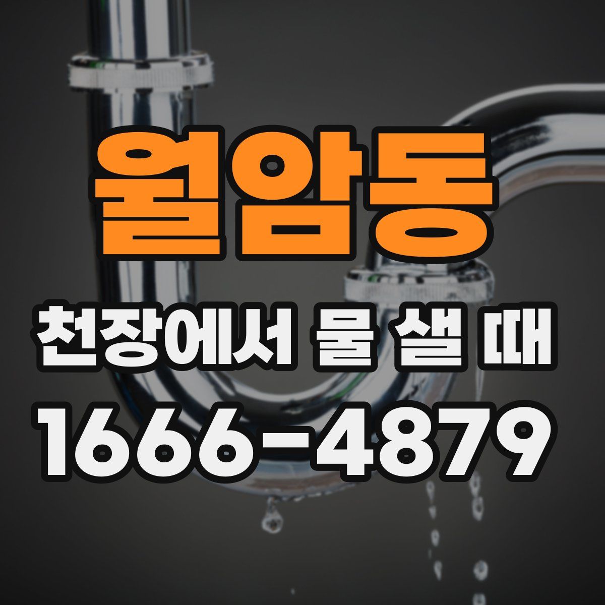 월암동 천장에서 물 샐 때