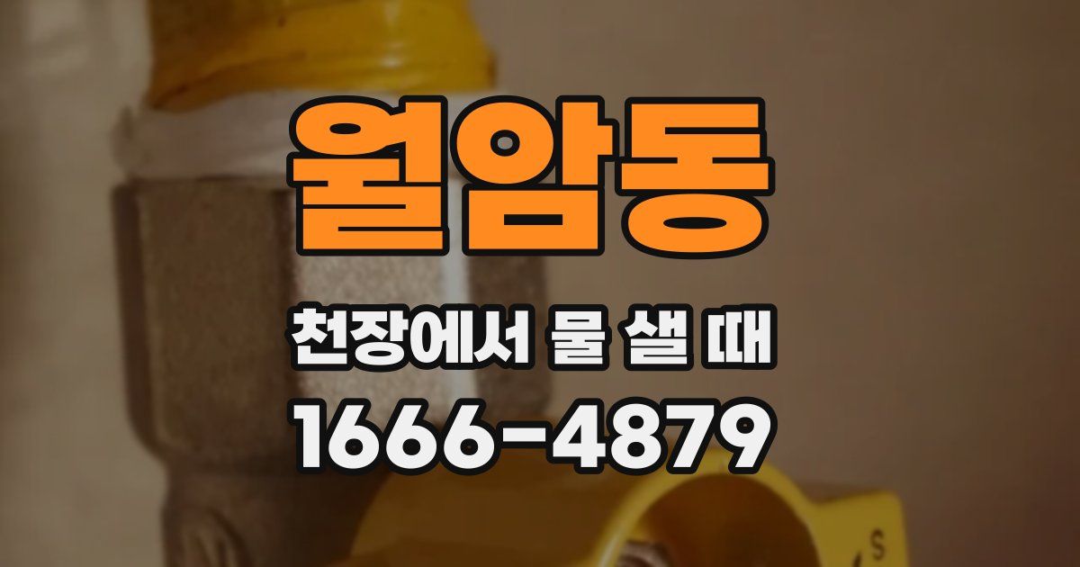 월암동 천장에서 물 샐 때