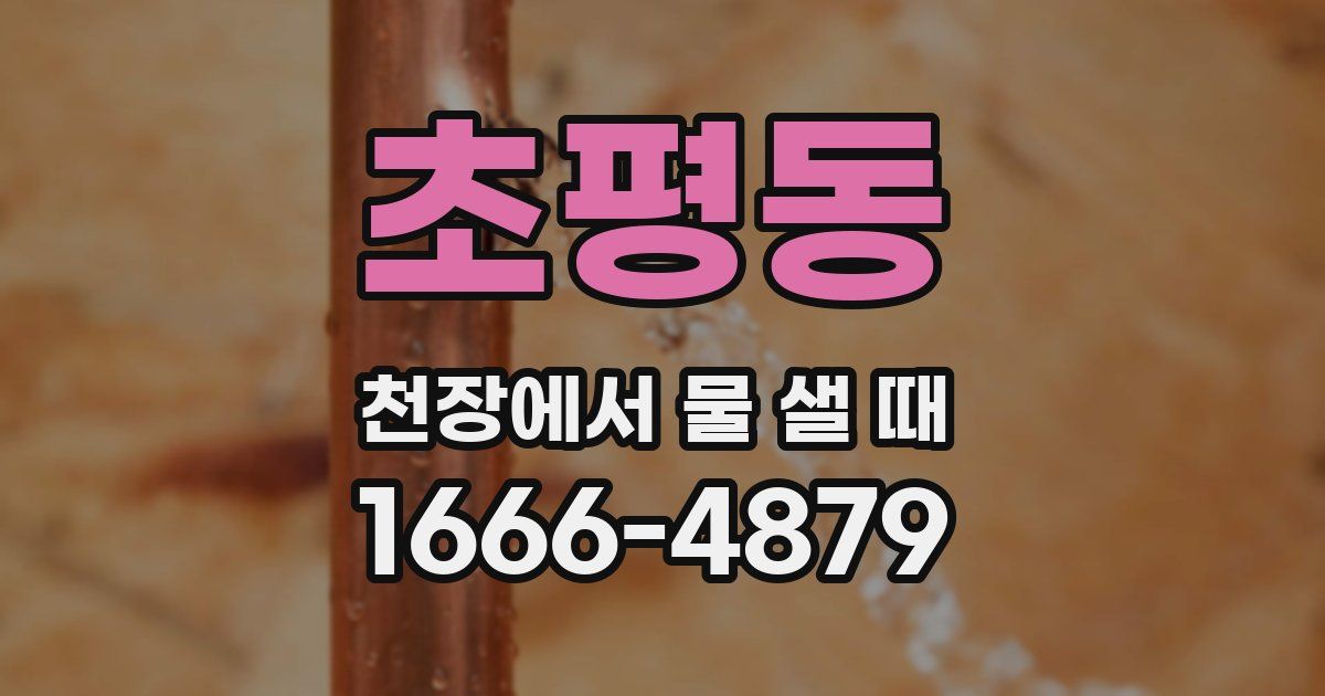 초평동 천장에서 물 샐 때