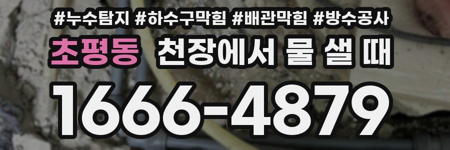 초평동 천장에서 물 샐 때