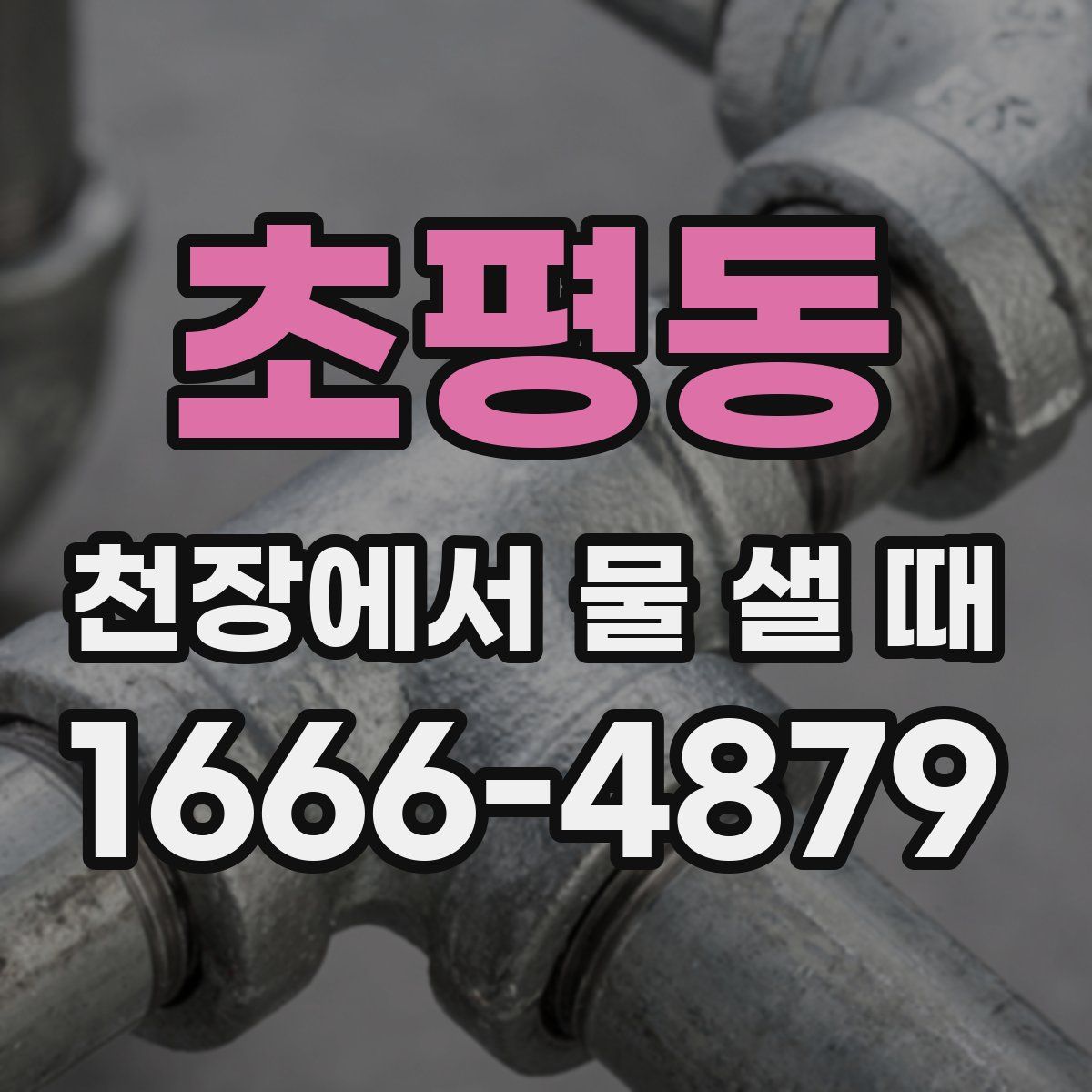 초평동 천장에서 물 샐 때