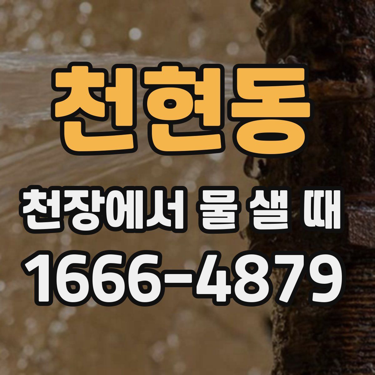천현동 천장에서 물 샐 때