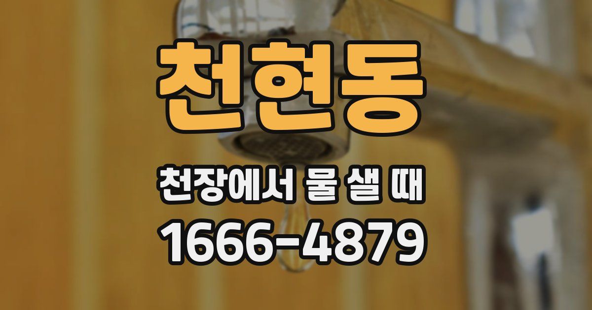 천현동 천장에서 물 샐 때