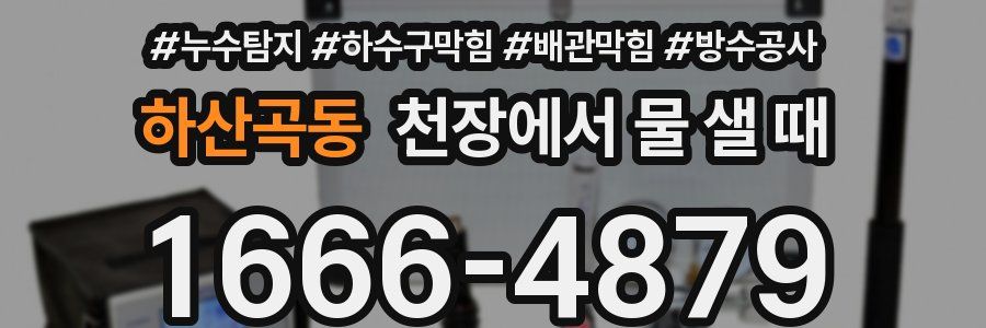 하산곡동 천장에서 물 샐 때