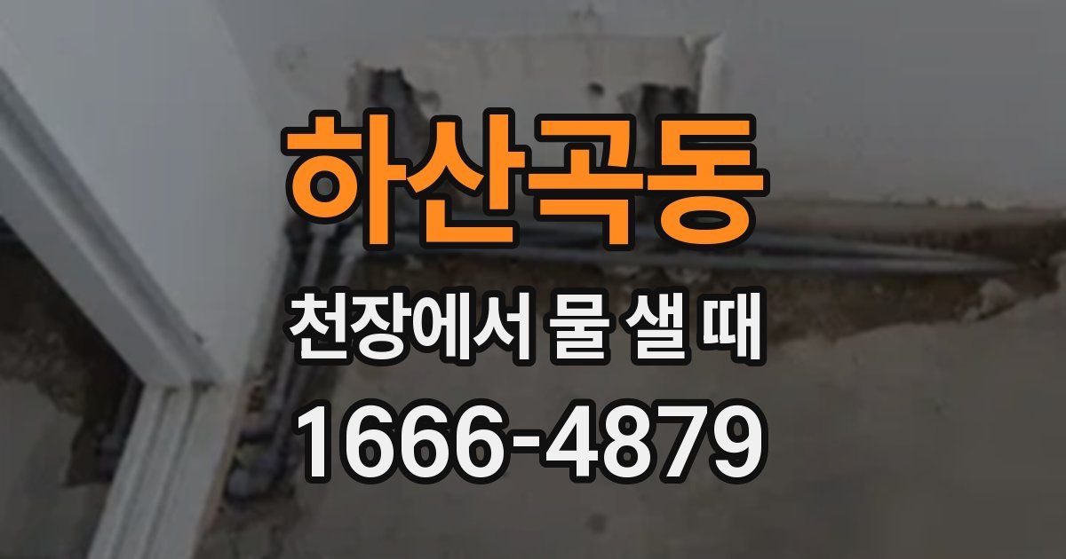 하산곡동 천장에서 물 샐 때