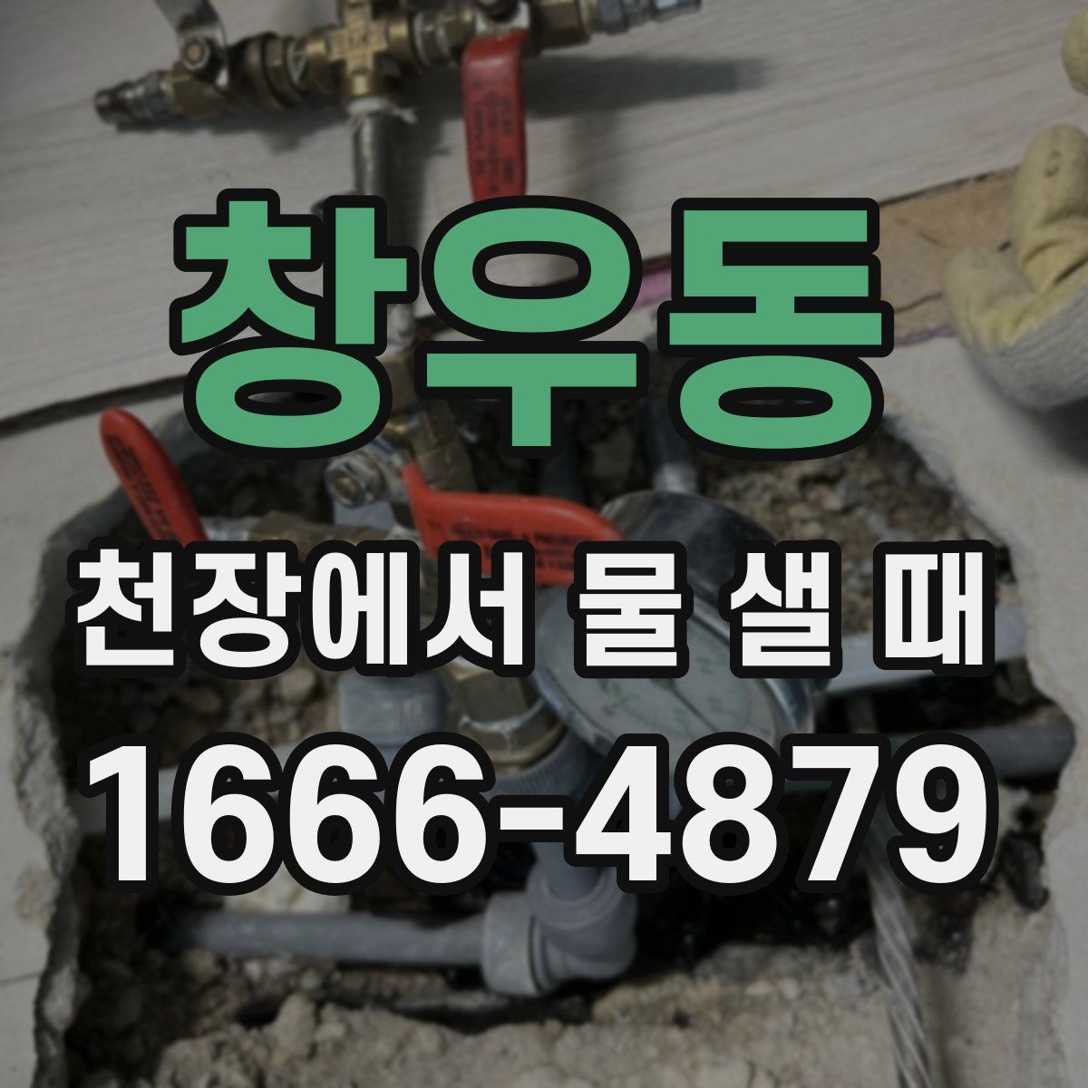 창우동 천장에서 물 샐 때
