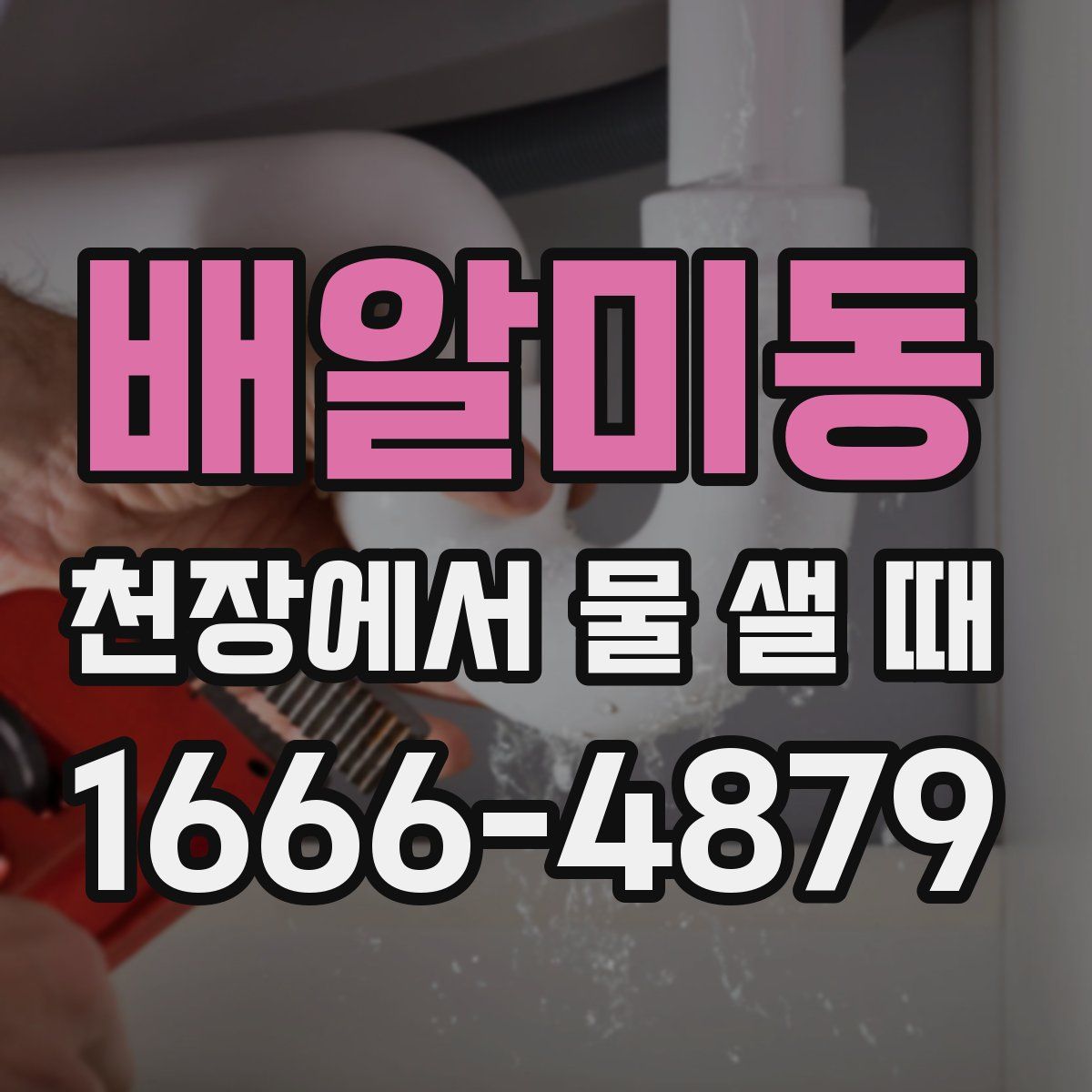배알미동 천장에서 물 샐 때