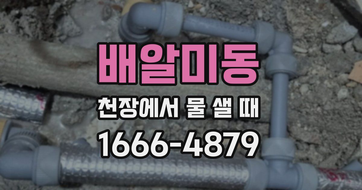 배알미동 천장에서 물 샐 때
