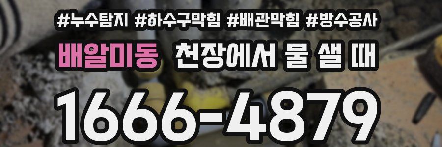 배알미동 천장에서 물 샐 때