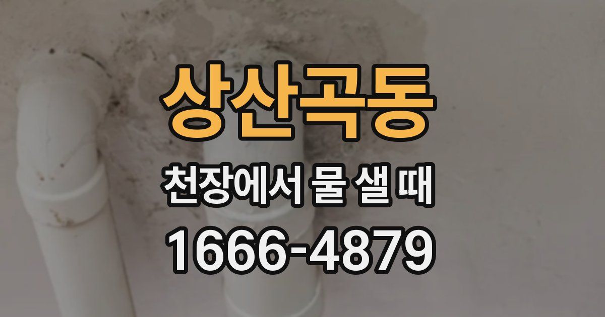 상산곡동 천장에서 물 샐 때