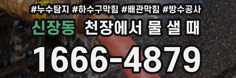 신장동 천장에서 물 샐 때