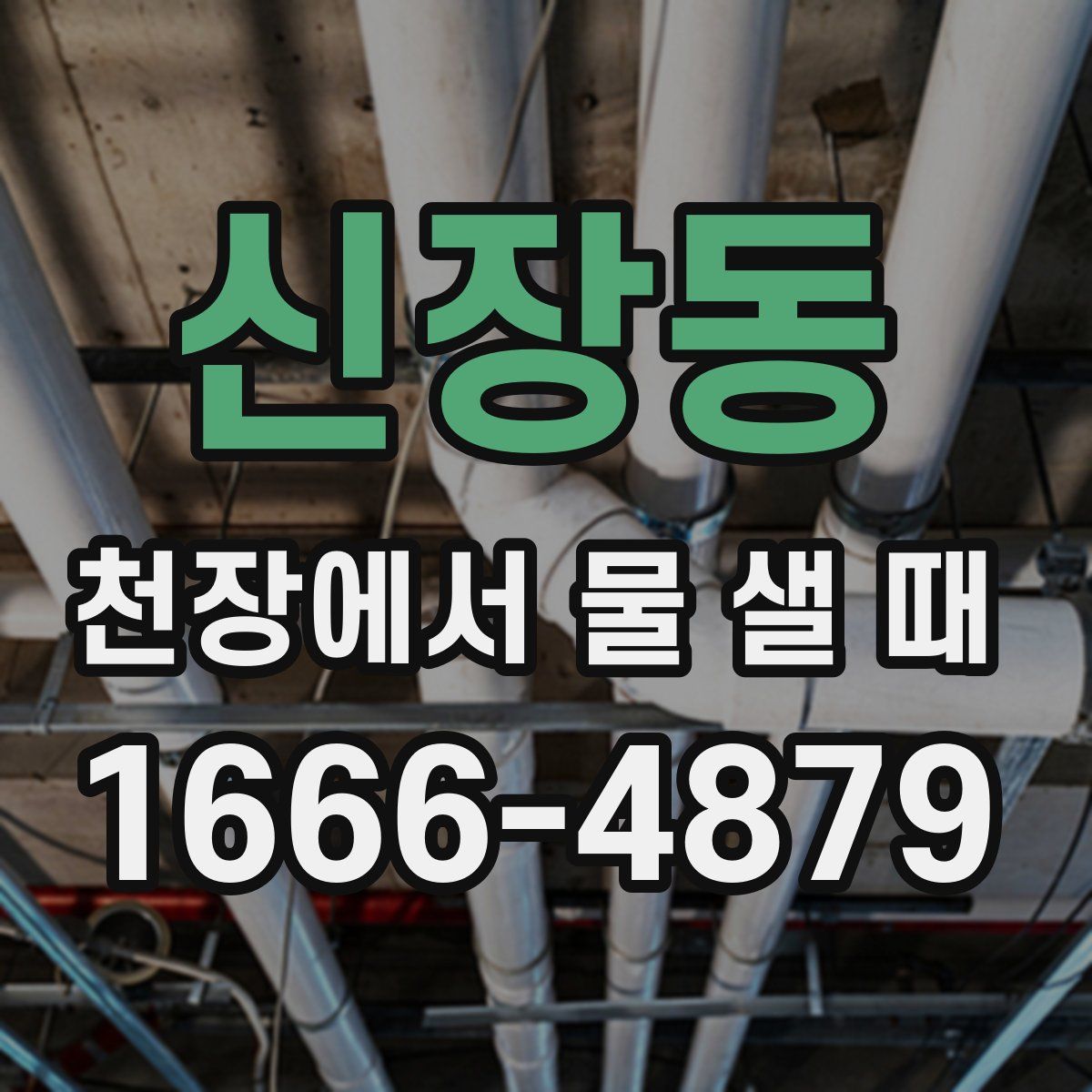 신장동 천장에서 물 샐 때