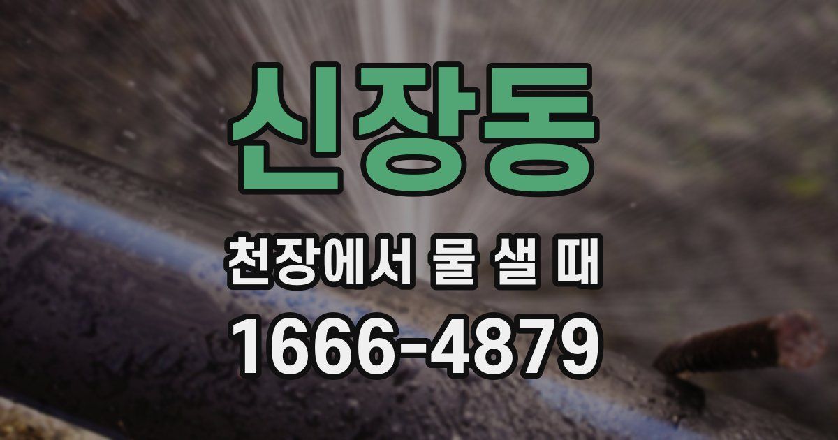 신장동 천장에서 물 샐 때