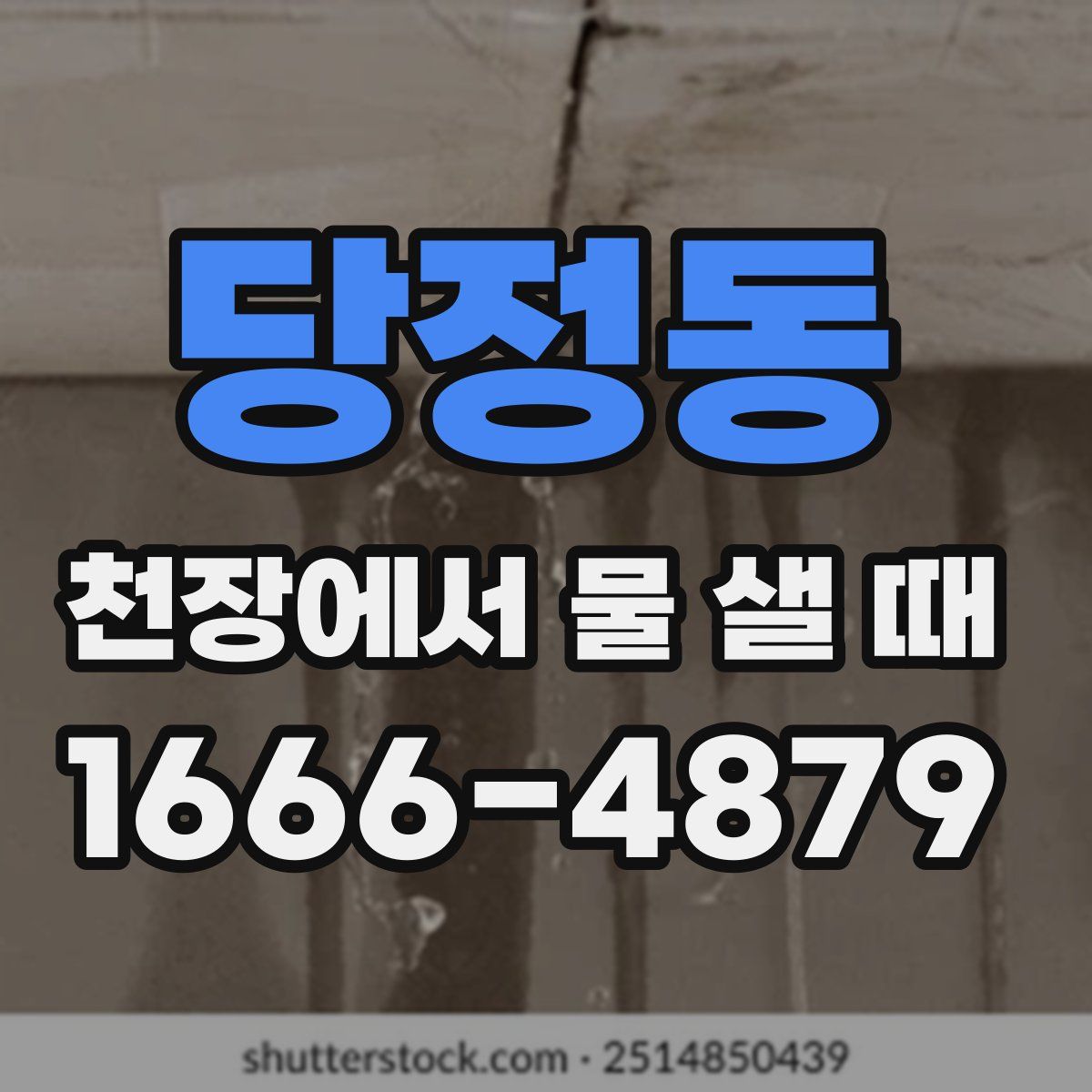 당정동 천장에서 물 샐 때