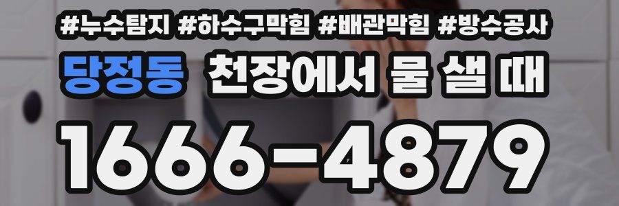 당정동 천장에서 물 샐 때