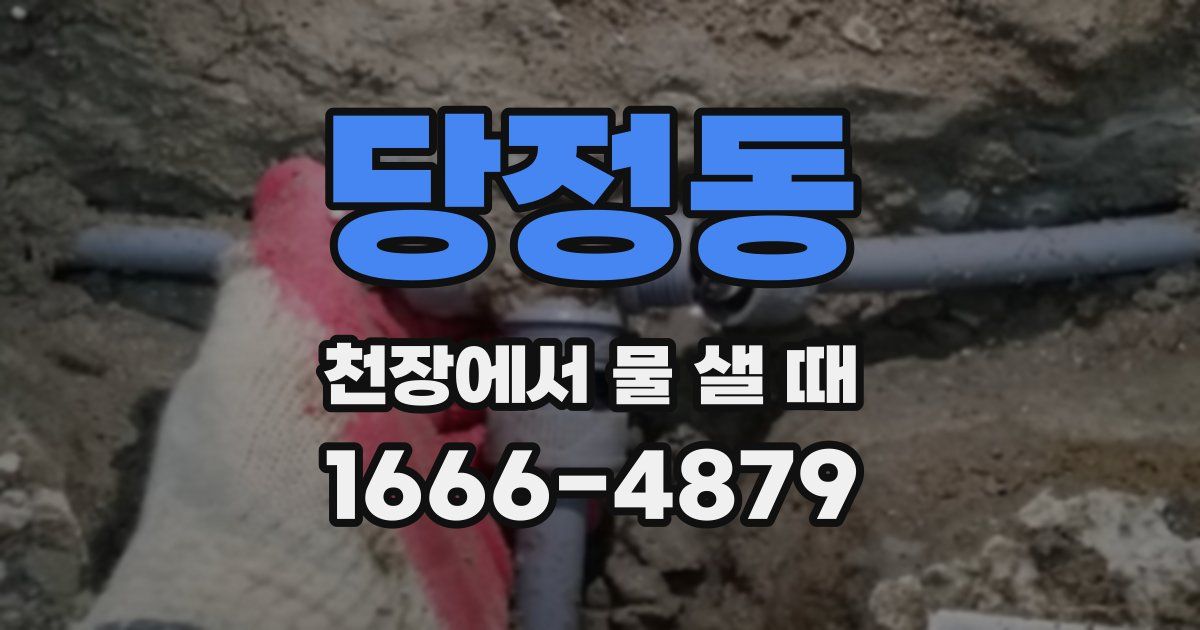 당정동 천장에서 물 샐 때