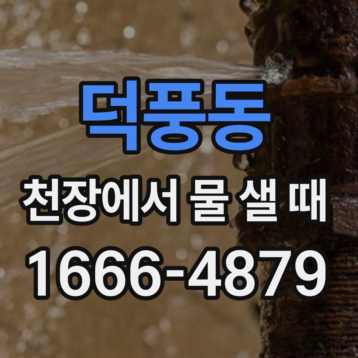 덕풍동 천장에서 물 샐 때