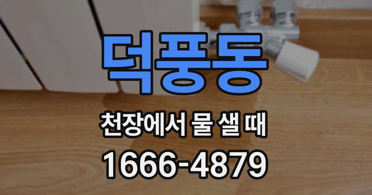 덕풍동 천장에서 물 샐 때
