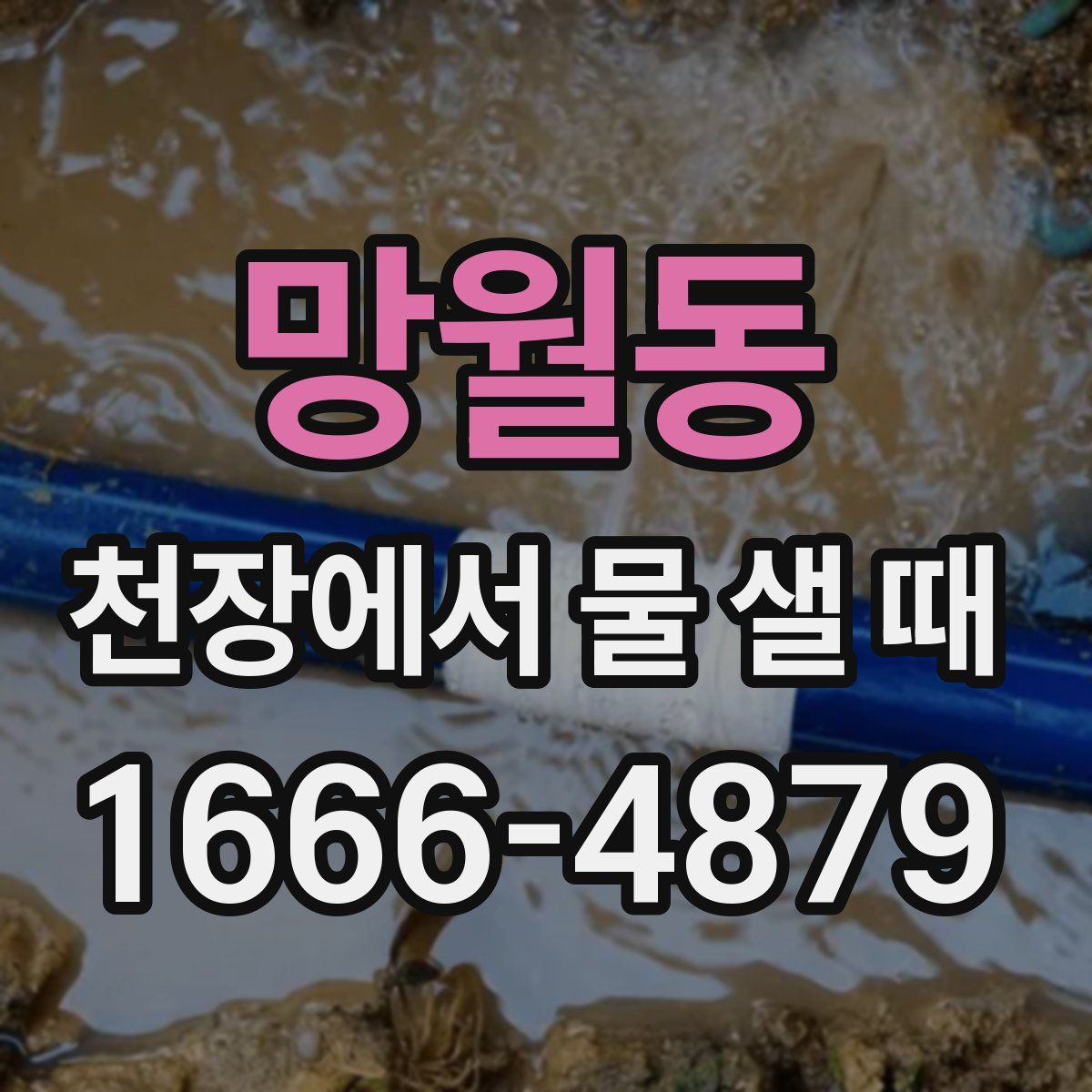 망월동 천장에서 물 샐 때