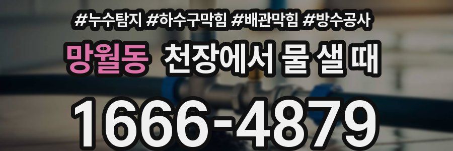 망월동 천장에서 물 샐 때