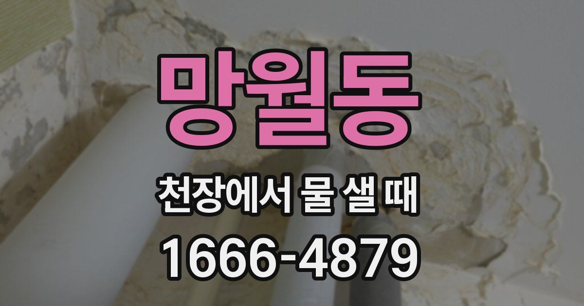 망월동 천장에서 물 샐 때