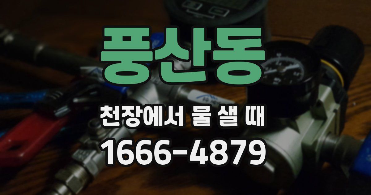 풍산동 천장에서 물 샐 때