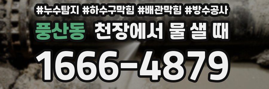 풍산동 천장에서 물 샐 때