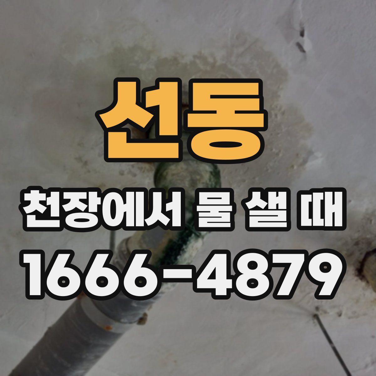 선동 천장에서 물 샐 때