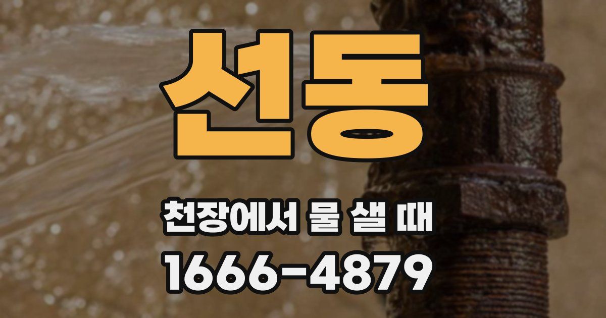 선동 천장에서 물 샐 때