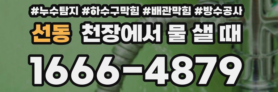 선동 천장에서 물 샐 때