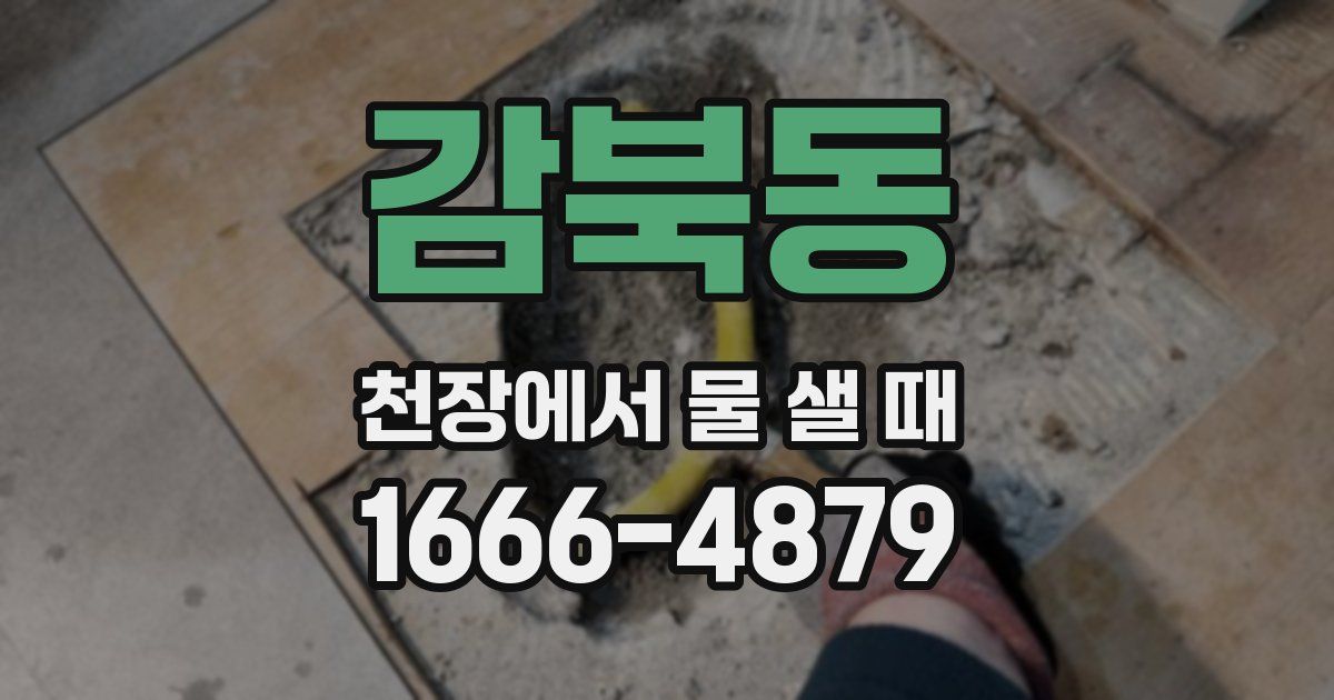 감북동 천장에서 물 샐 때