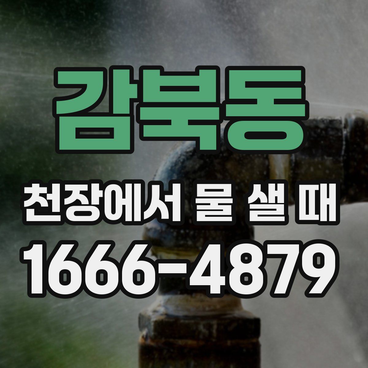 감북동 천장에서 물 샐 때