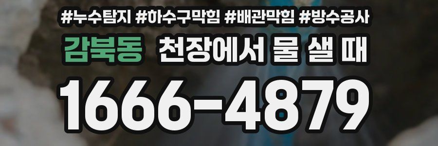 감북동 천장에서 물 샐 때