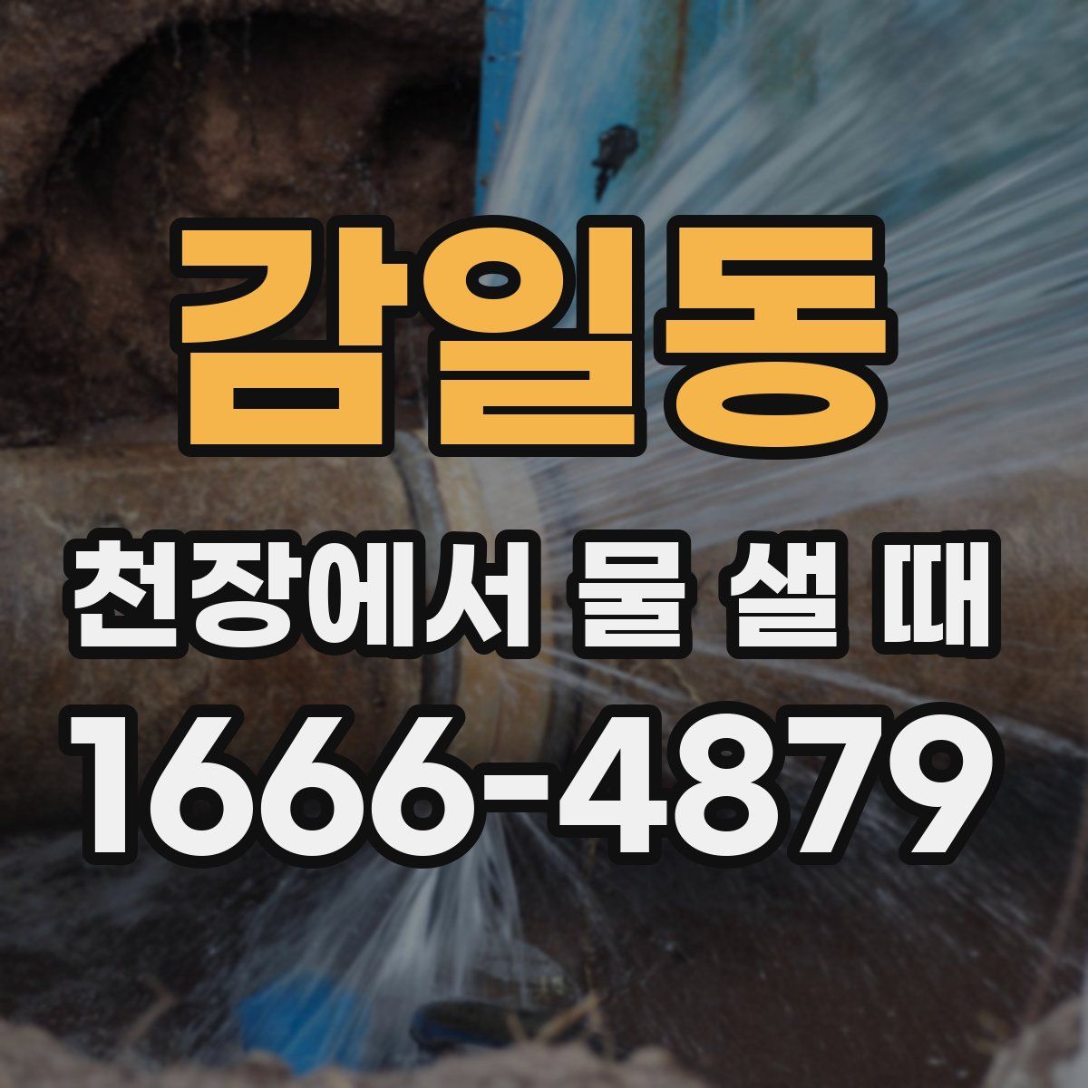 감일동 천장에서 물 샐 때