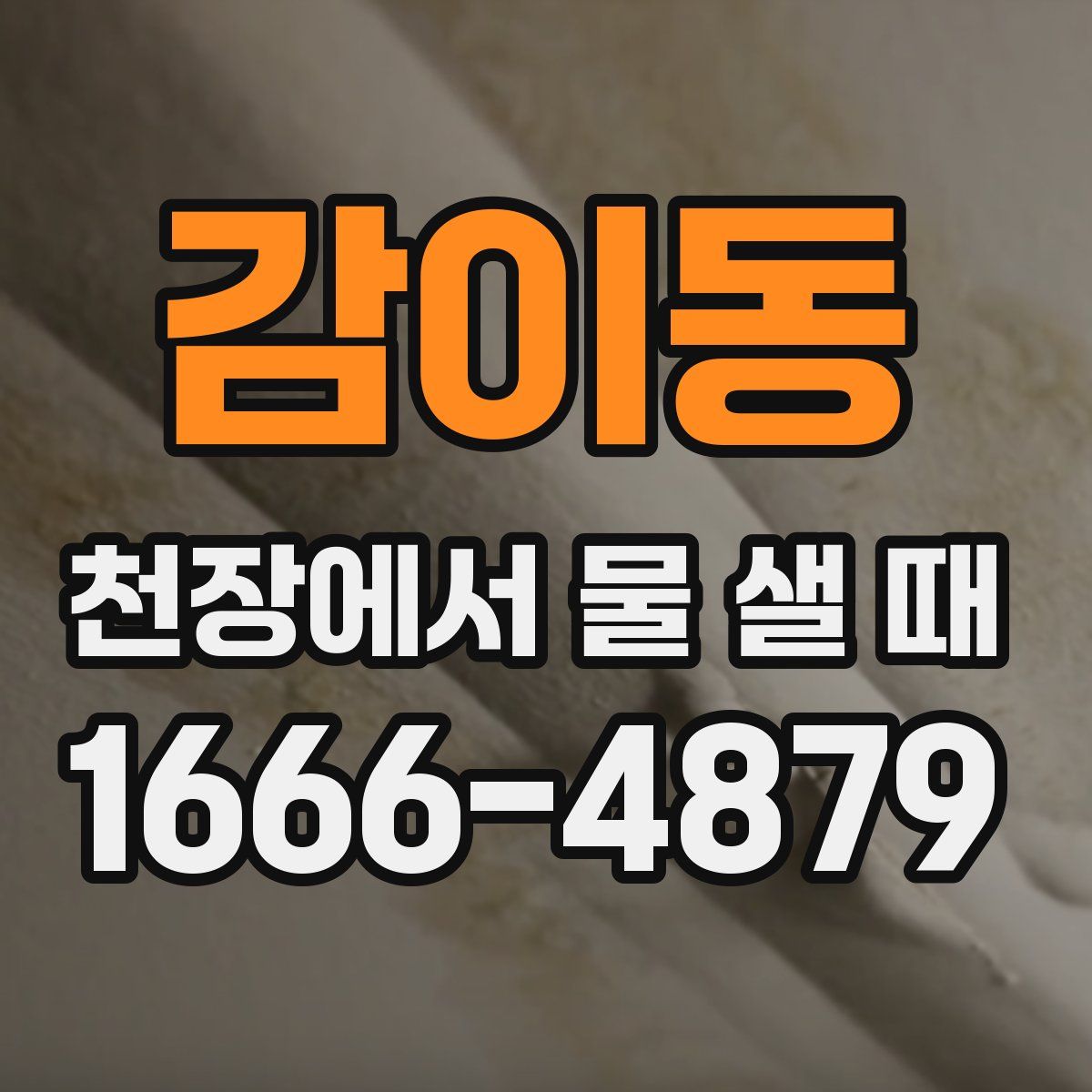 감이동 천장에서 물 샐 때