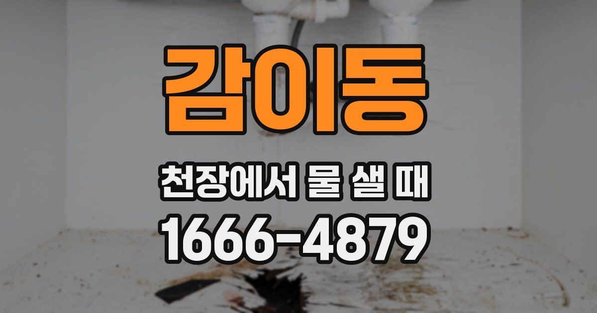 감이동 천장에서 물 샐 때