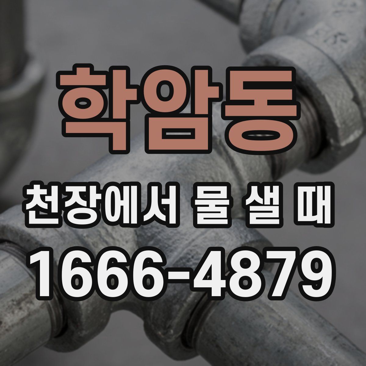 학암동 천장에서 물 샐 때