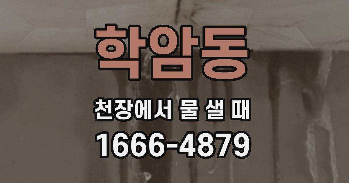 학암동 천장에서 물 샐 때