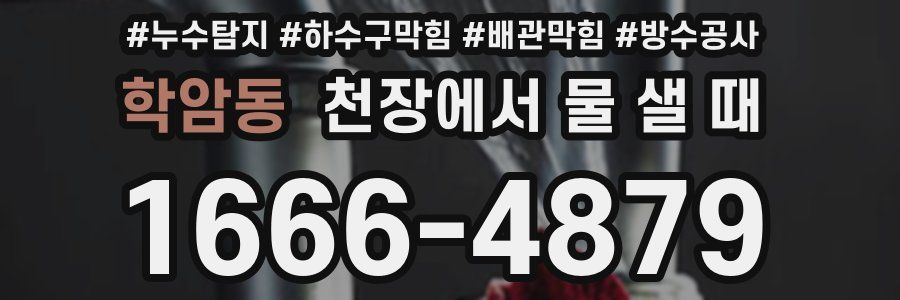 학암동 천장에서 물 샐 때