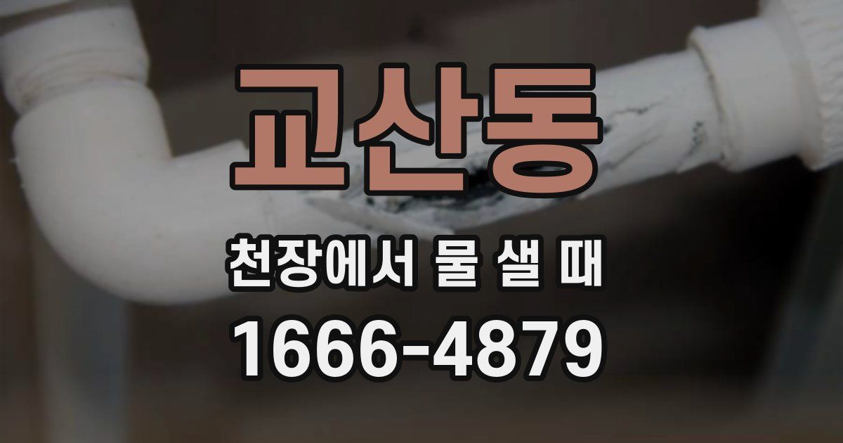 교산동 천장에서 물 샐 때