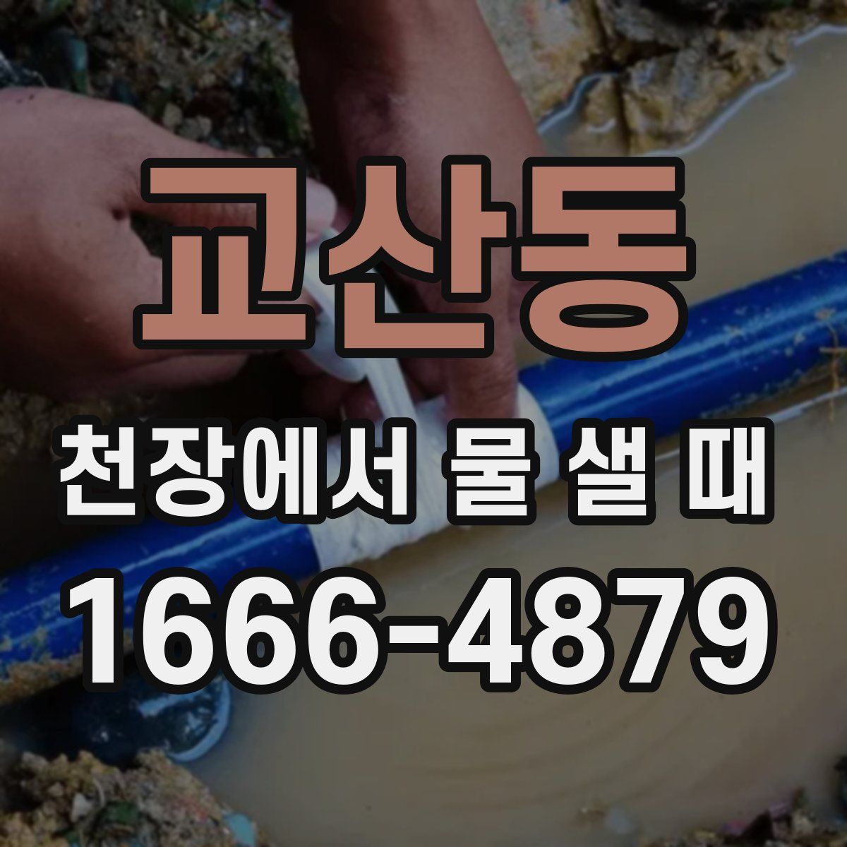 교산동 천장에서 물 샐 때