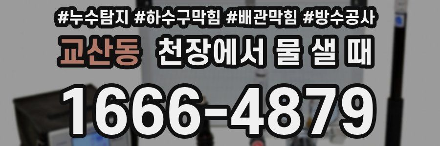 교산동 천장에서 물 샐 때