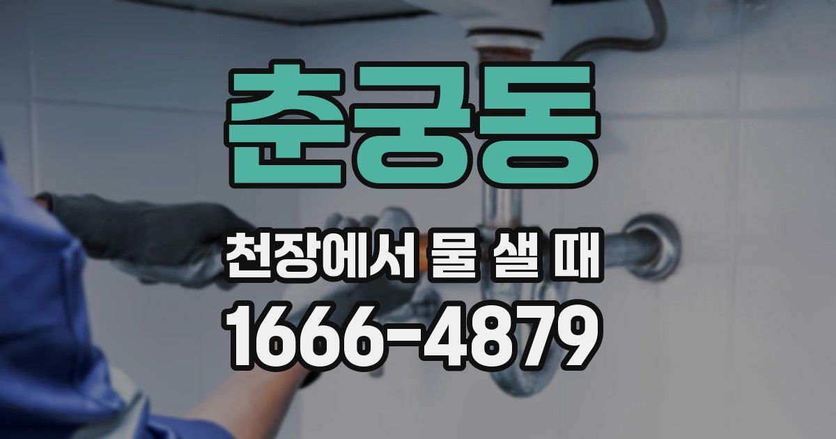 춘궁동 천장에서 물 샐 때