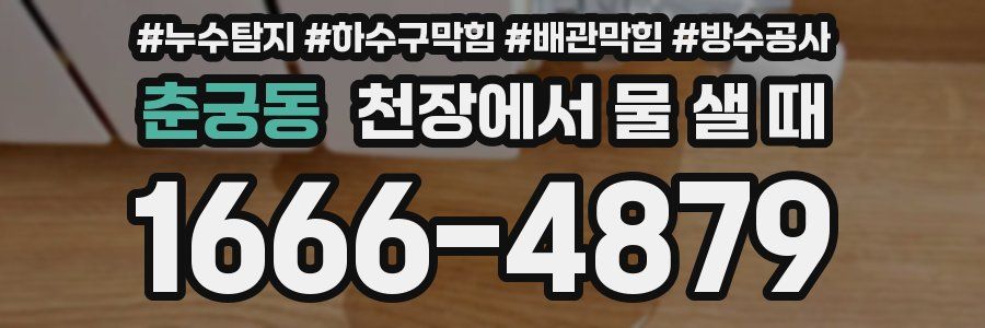 춘궁동 천장에서 물 샐 때