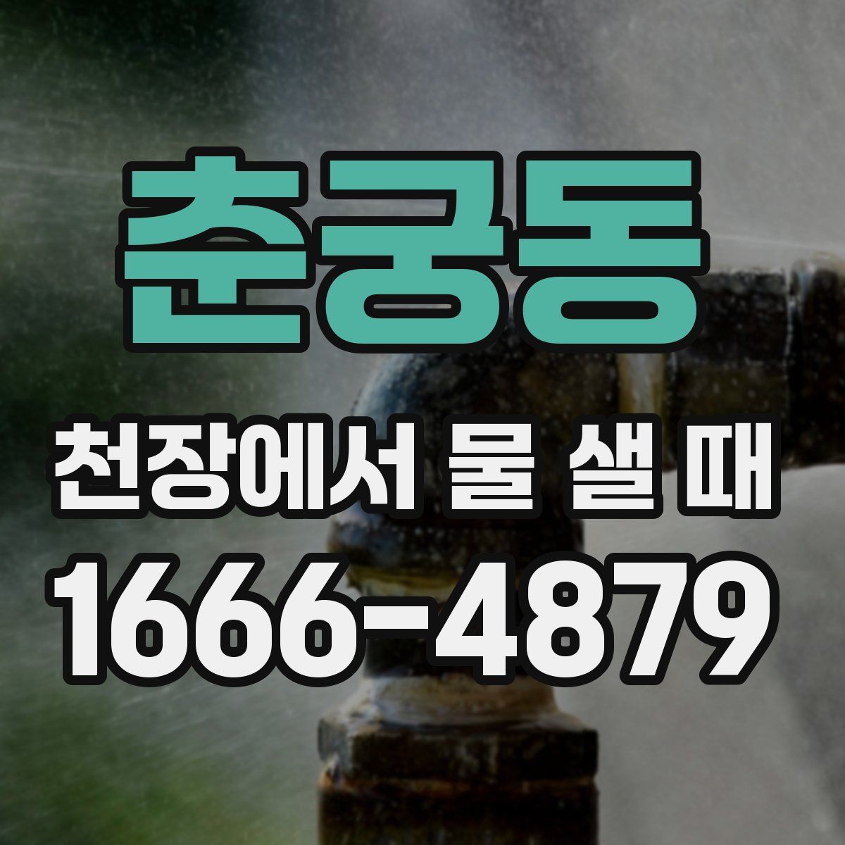춘궁동 천장에서 물 샐 때
