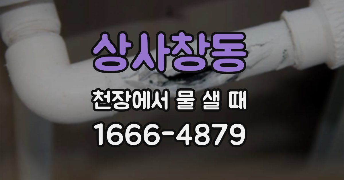 상사창동 천장에서 물 샐 때