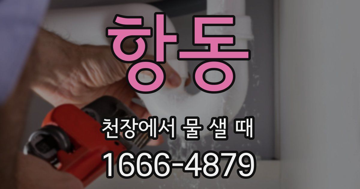 항동 천장에서 물 샐 때