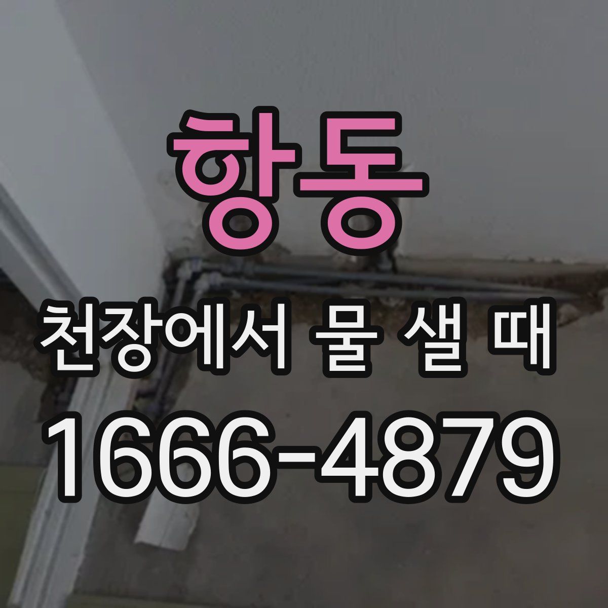 항동 천장에서 물 샐 때