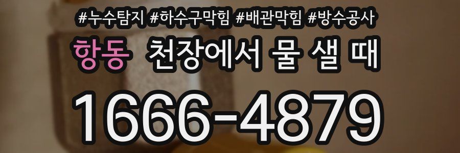 항동 천장에서 물 샐 때